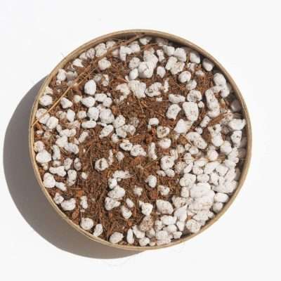 Green power gardening supplies - Coco Coir + Perlite is a 50/50 blend of Premium grade Coco Coir & Perlite. Washed + Buffered to a low EC level. Perfect for any gardening, addition to organic matter or hydroponic use. Coco coir is a byproduct of coconut fiber. It is an organic and environmentally sustainable substrate made using fibre from coconut shells. The tiny grains of coir are extracted from the coconut shell and pulverized into a growing substrate.