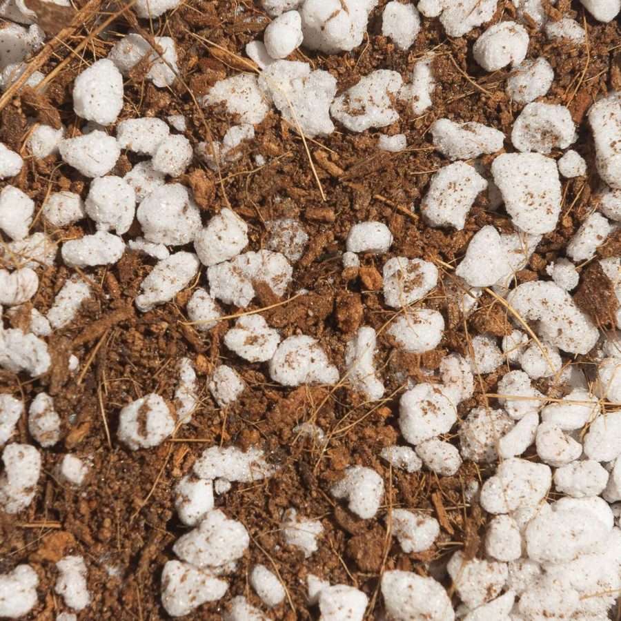 Green power gardening supplies - Coco Coir + Perlite is a 50/50 blend of Premium grade Coco Coir & Perlite. Washed + Buffered to a low EC level. Perfect for any gardening, addition to organic matter or hydroponic use. Coco coir is a byproduct of coconut fiber. It is an organic and environmentally sustainable substrate made using fibre from coconut shells. The tiny grains of coir are extracted from the coconut shell and pulverized into a growing substrate.