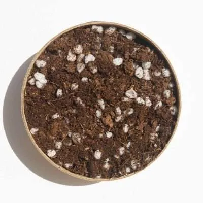 Green power Australia natural gardening supplies - PEAT MOSS AND PERLITE This is a 50/50 blend of Premium grade Peat Moss & Perlite. Highest-quality Peat moss for professional greenhouse and nursery grower. Perfect for any vegetables and herbs gardening or addition to organic matter. Provides all the nutrients and healthy gardens for your crops and yet prevents compaction