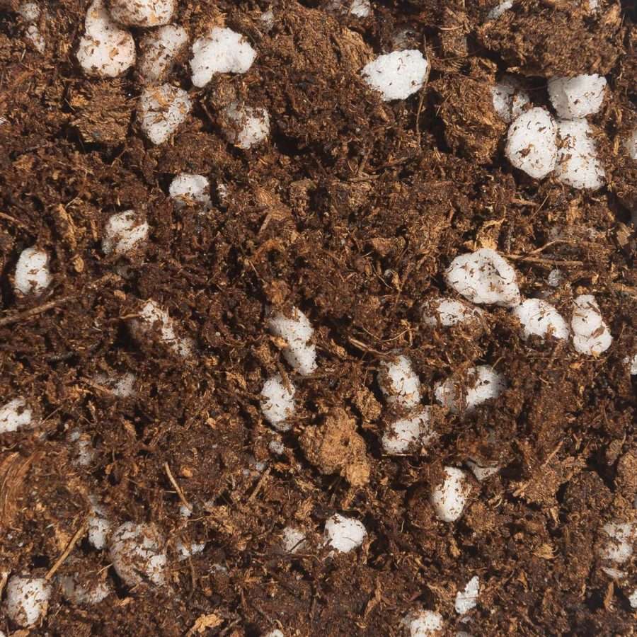 Green power Australia natural gardening supplies - PEAT MOSS AND PERLITE This is a 50/50 blend of Premium grade Peat Moss & Perlite. Highest-quality Peat moss for professional greenhouse and nursery grower. Perfect for any vegetables and herbs gardening or addition to organic matter. Provides all the nutrients and healthy gardens for your crops and yet prevents compaction