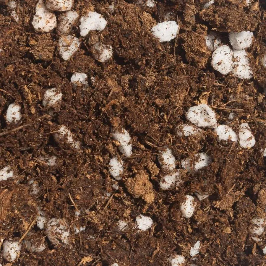 Green power Australia natural gardening supplies - PEAT MOSS AND PERLITE This is a 50/50 blend of Premium grade Peat Moss & Perlite. Highest-quality Peat moss for professional greenhouse and nursery grower. Perfect for any vegetables and herbs gardening or addition to organic matter. Provides all the nutrients and healthy gardens for your crops and yet prevents compaction
