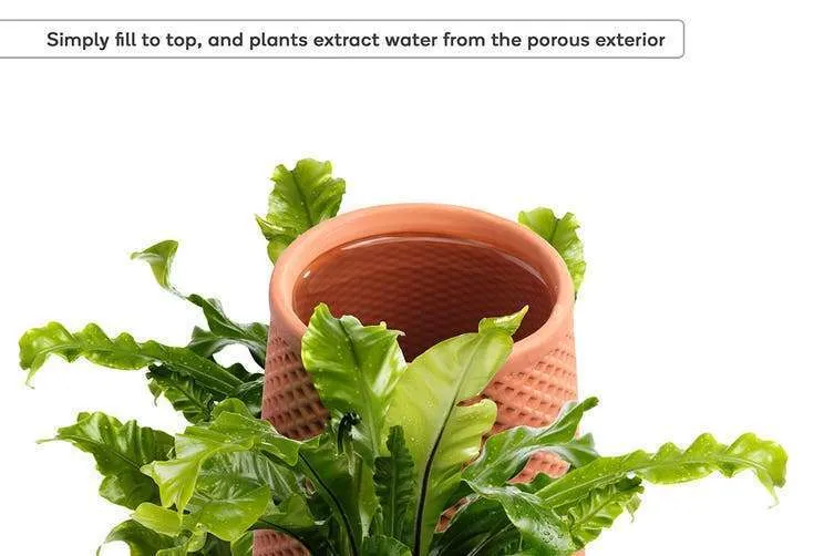 Terracotta Self Watering Ceramic Pot - Image 5