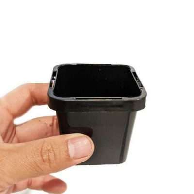Square pots 66mm