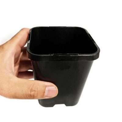 Square pots 85mm