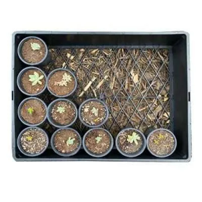 Multipak Garden Large Tray - Holes