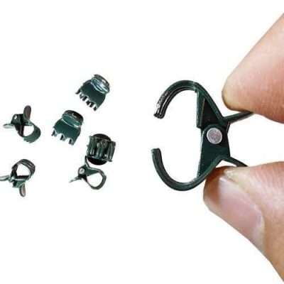 Orchid Clips