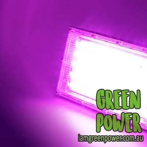 LED Grow Light 50W - Image 3