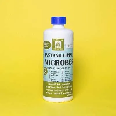 Living Microbe Probiotic Concentrate