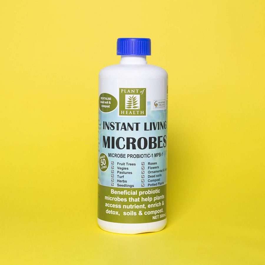 Living Microbe Probiotic Concentrate