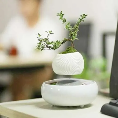 Floating Ceramic Plant Pot - Image 3