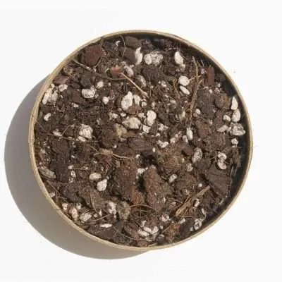 Green power Australia natural gardening supplies - Jiffy’s range of substrates include peat-reduced, peat-free and organic certified solutions. We also have a long history of knowledge and experience in delivering the highest-quality substrate mixes for plant production with the most uniform characteristics, tailored and tested to meet each crop’s specifications, every time. Jiffy blends quality substrates at modern production facilities in a number of locations across the world, in order to guarantee the best physical characteristics.