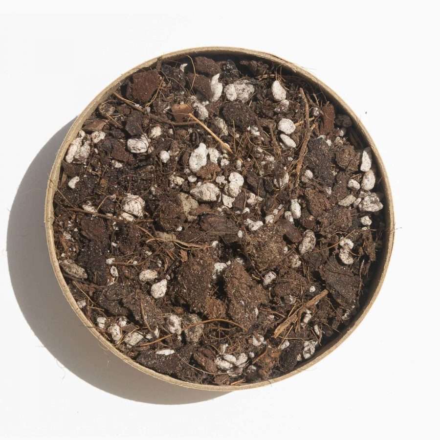 Green power Australia natural gardening supplies - Jiffy’s range of substrates include peat-reduced, peat-free and organic certified solutions. We also have a long history of knowledge and experience in delivering the highest-quality substrate mixes for plant production with the most uniform characteristics, tailored and tested to meet each crop’s specifications, every time. Jiffy blends quality substrates at modern production facilities in a number of locations across the world, in order to guarantee the best physical characteristics.