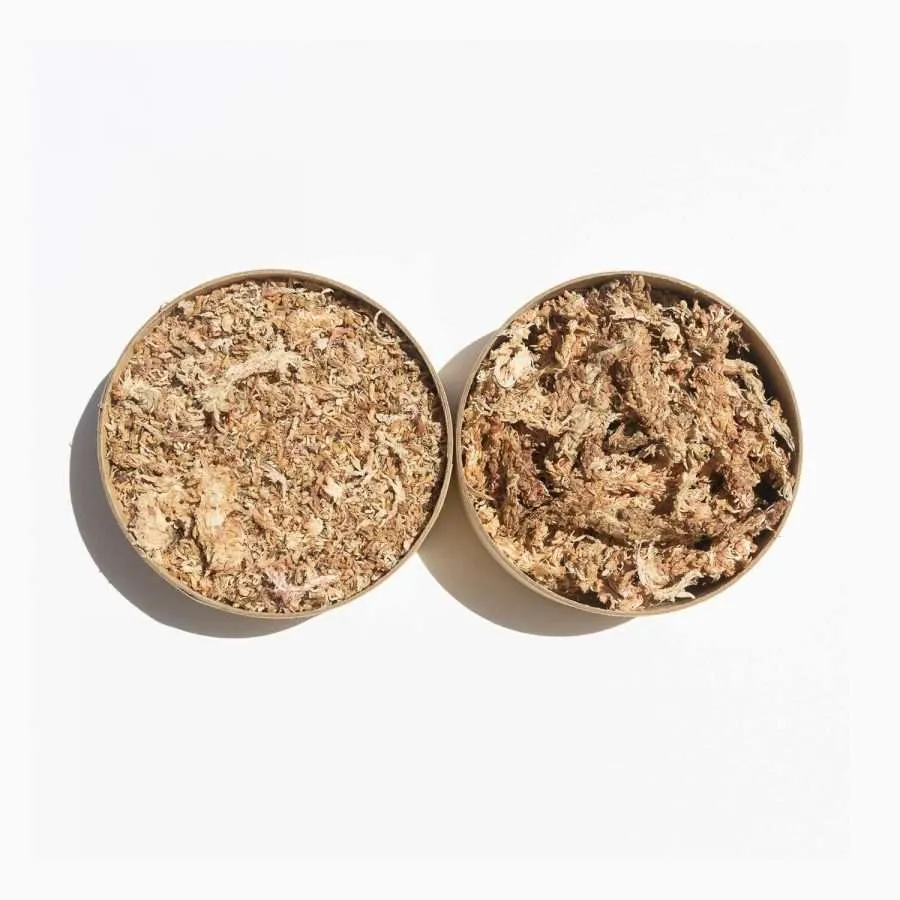Green power Australia natural gardening supplies - 5 Star sphagnum moss are from the pristine region of De Los Lagos of Chile. This is being hand picked and ethically harvested and is recognized to be as high quality as New Zealand Sphagnum moss. They are packed loose and ready to use with convenience, saving you time for your plant babies!