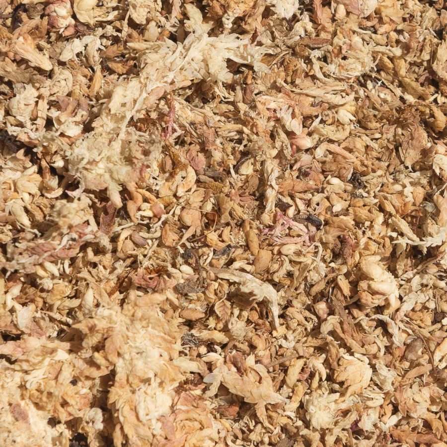 Green power Australia natural gardening supplies - 5 Star sphagnum moss are from the pristine region of De Los Lagos of Chile. This is being hand picked and ethically harvested and is recognized to be as high quality as New Zealand Sphagnum moss. They are packed loose and ready to use with convenience, saving you time for your plant babies!