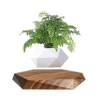 Floating Plant Pot
