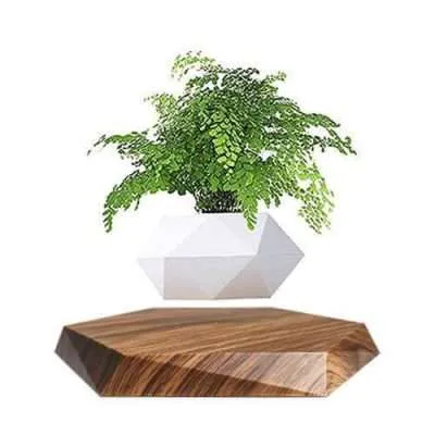 Floating Plant Pot