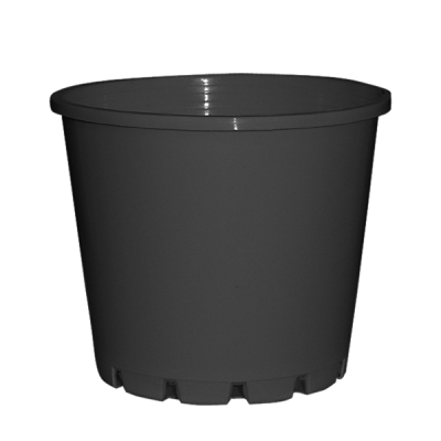 100mm Plant Squat Pot
