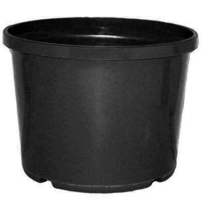 140mm Plant Squat Pot