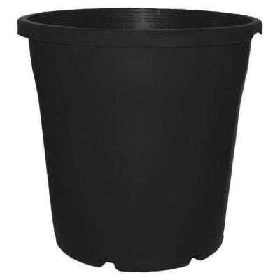 200mm Euro