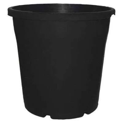 200mm Euro