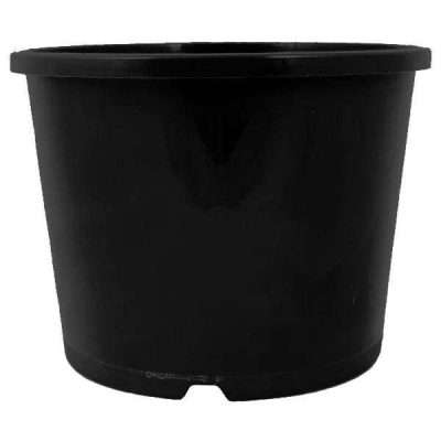 200mm Plant Squat Pot