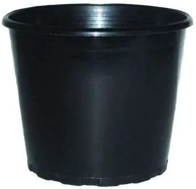 80mm Squat