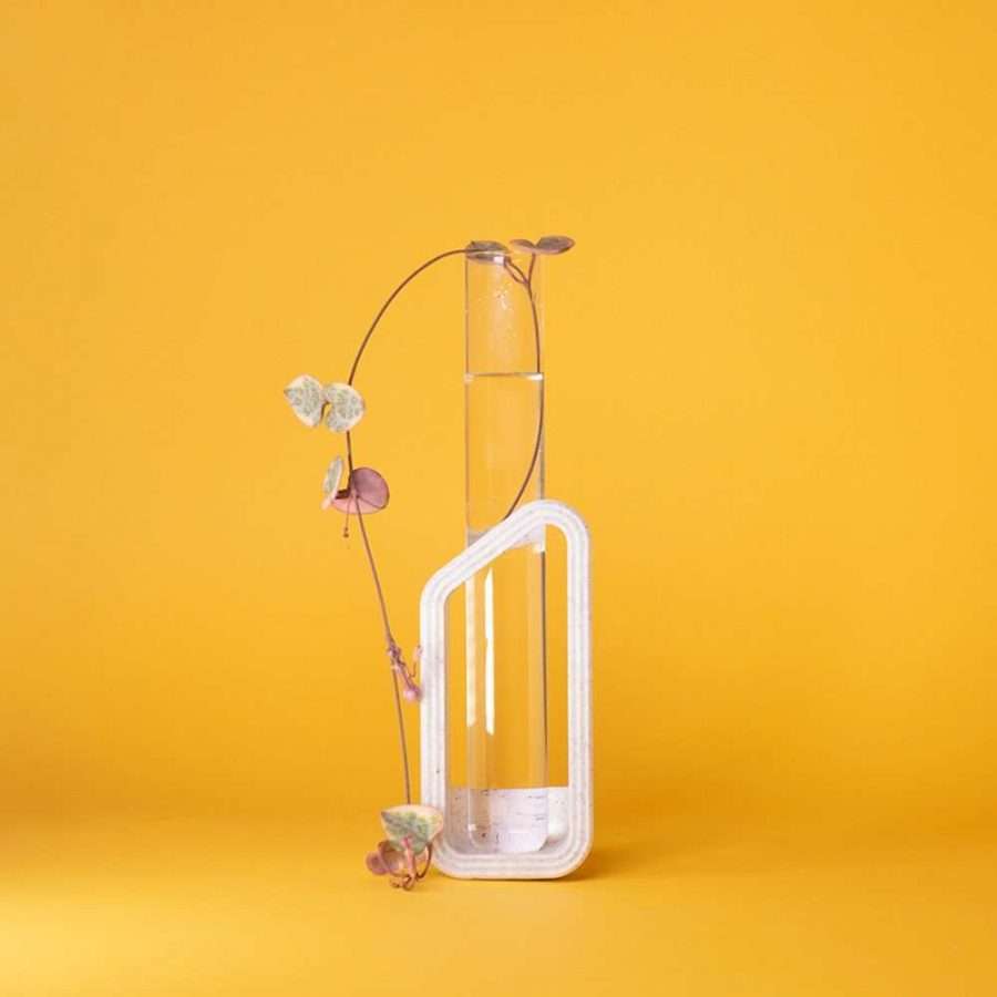 Arch Propagation vessel