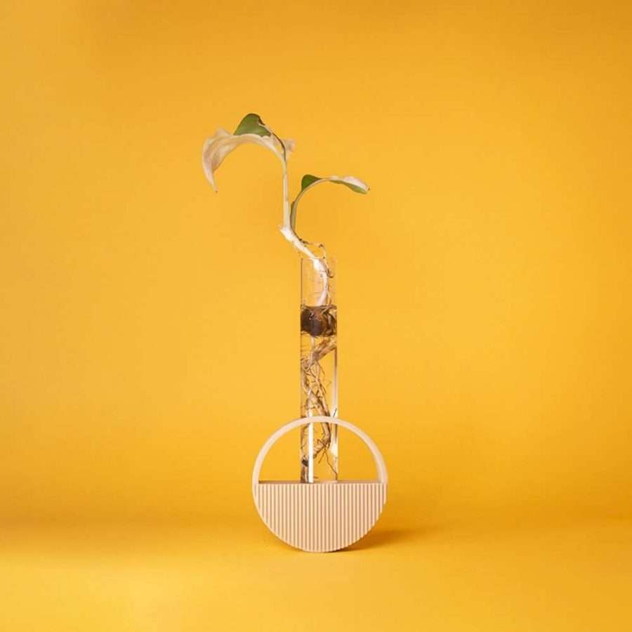 Arch Propagation vessel - Image 6