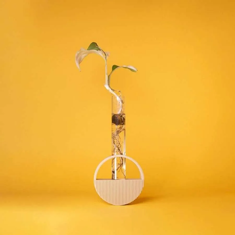 Arch Propagation vessel - Image 6
