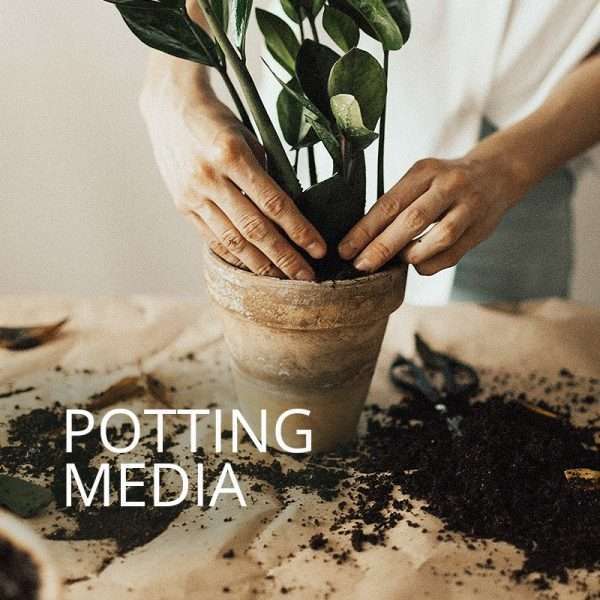 website-cat-potting-media