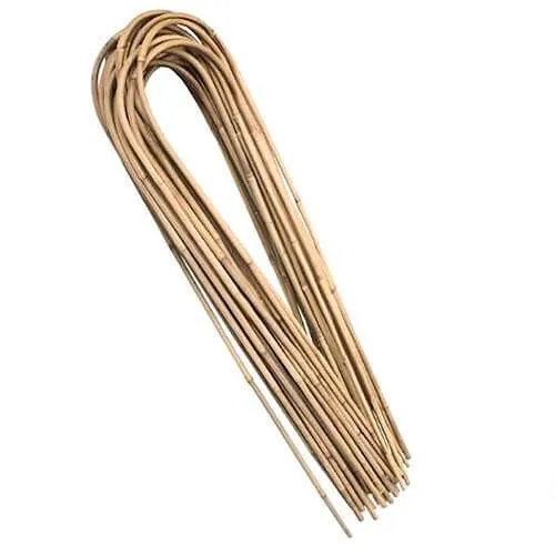 www.iamgreenpower.com.au brisbane gardening supplies in queensland australia. U-Shape Bamboo cane in 60cm 90cm. Natural and bio degradable product.