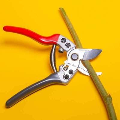 www.iamgreenpower.com.au brisbane gardening supplies in queensland australia. Made in Japan Garden pruning shears sektor in 210mm made of SK5 carbon steel cutting branches up to 2cm