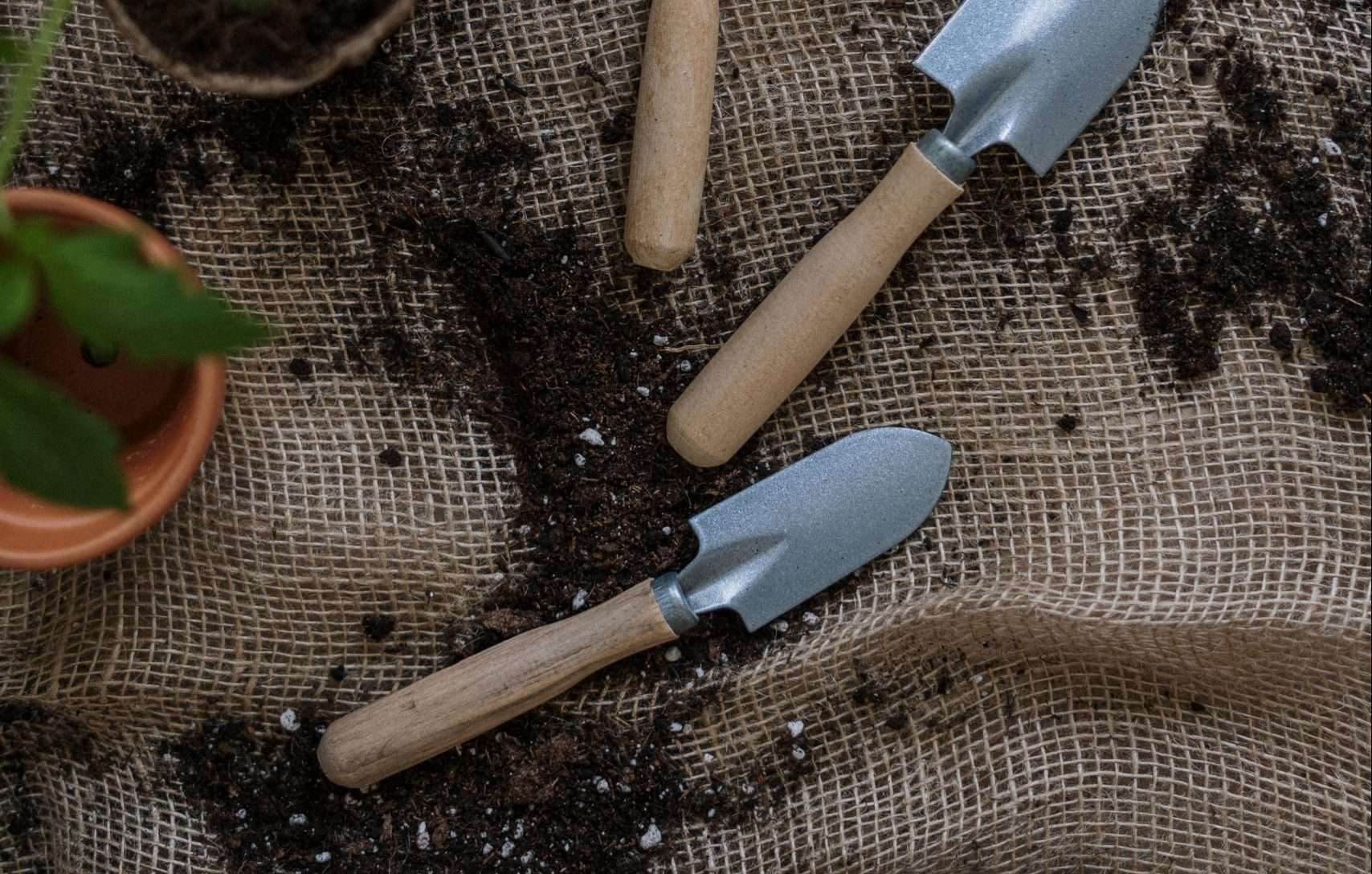 Green power Australia natural and organic gardening supplies. Perlite – The secret to healthier and happier plants and gardens