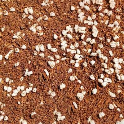 Green power gardening supplies - Mana Earth’s Coco+Perlite is the concoction (blend) using naturally occurring and well tested resources of 50% high-quality desiccated fine coconut husk ( coco coir) and 50% medium expanded perlite. 100% sustainable ingredients from the world’s finest producers. Made locally in Australia with love. All natural goodness without any harmful chemicals for your plants. A win for the environment and gardeners.