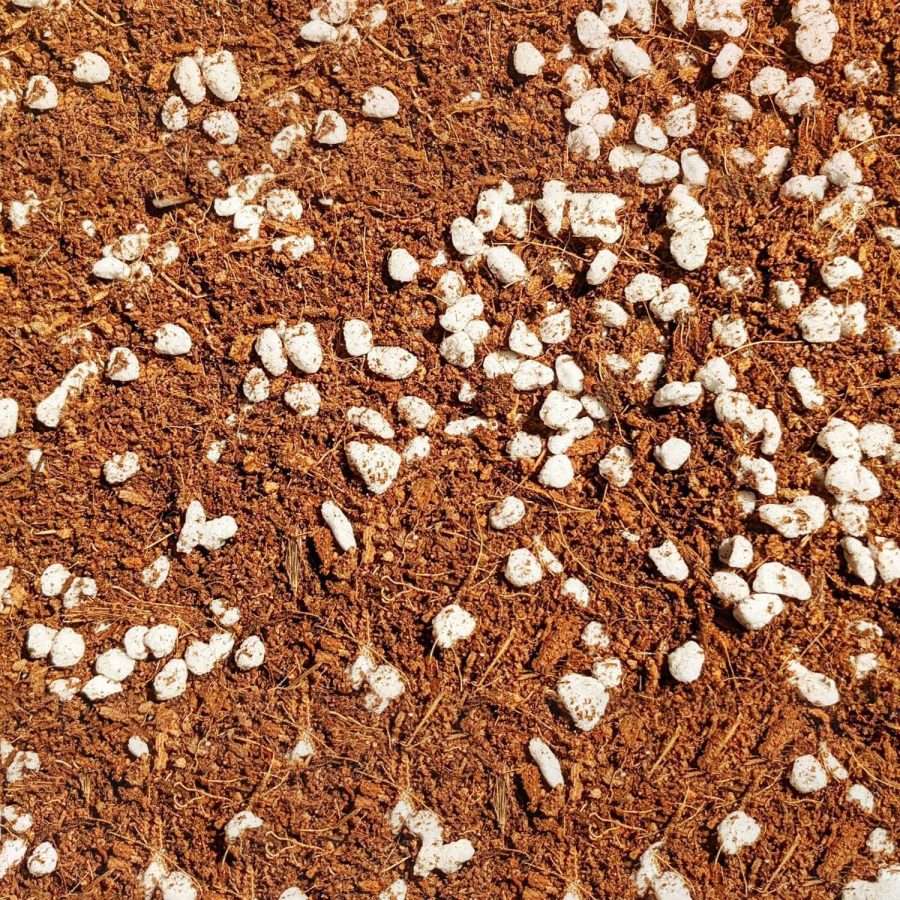 Green power gardening supplies - Mana Earth’s Coco+Perlite is the concoction (blend) using naturally occurring and well tested resources of 50% high-quality desiccated fine coconut husk ( coco coir) and 50% medium expanded perlite. 100% sustainable ingredients from the world’s finest producers. Made locally in Australia with love. All natural goodness without any harmful chemicals for your plants. A win for the environment and gardeners.