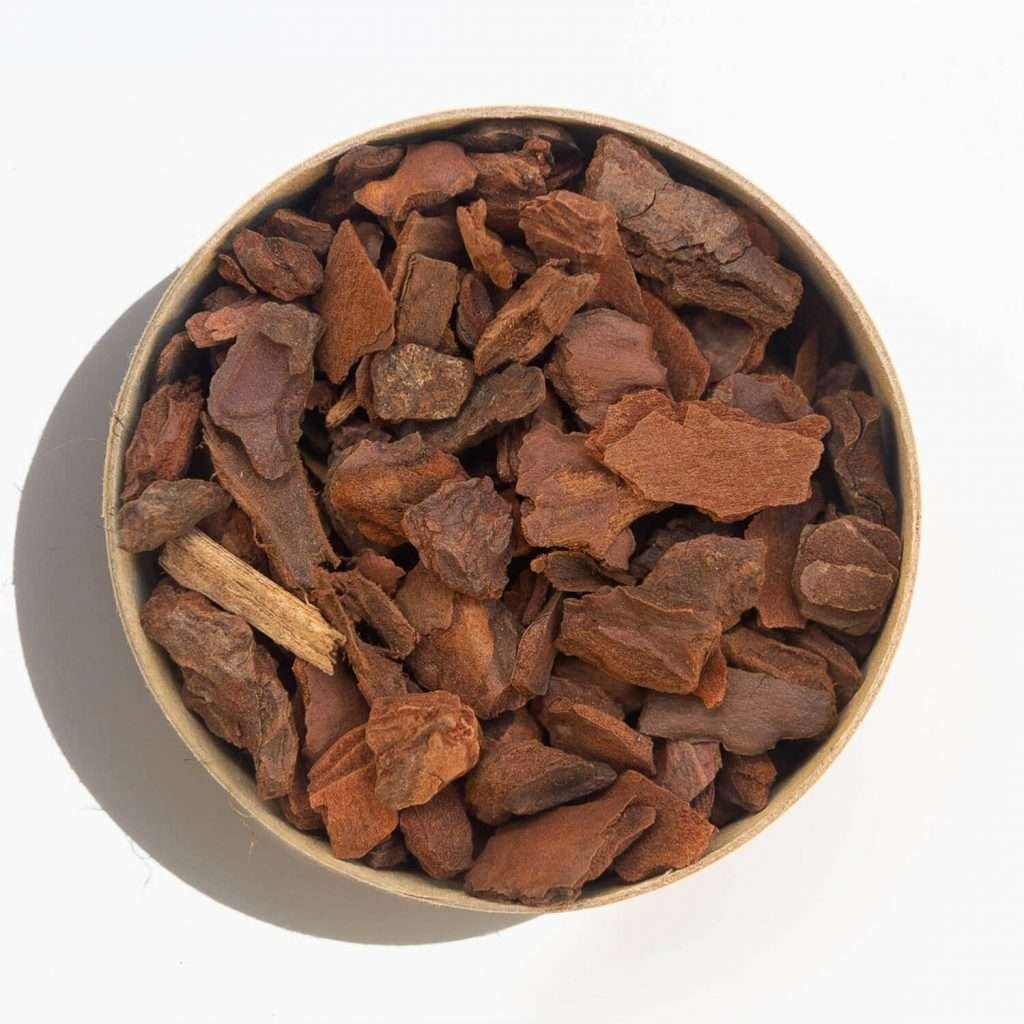 Portugal Orchid Bark 69mm Green Power Orchiata Bark