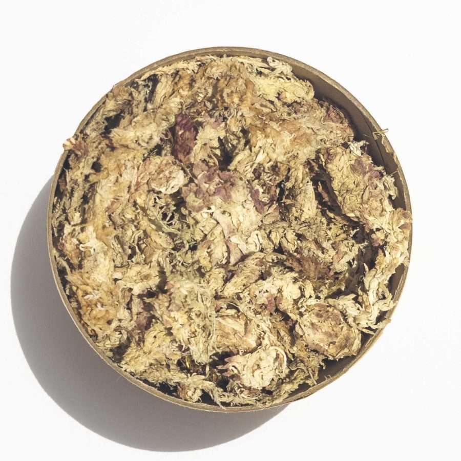 Peruvian Sphagnum Moss Gold Grade