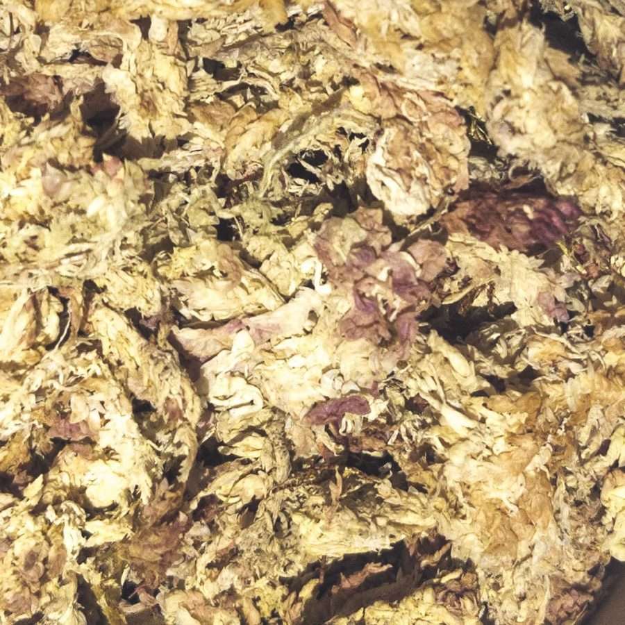 Peruvian Sphagnum Moss Gold Grade - Image 2