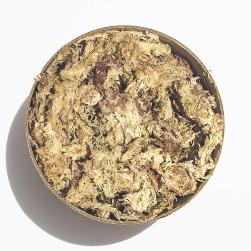 green-power-media-5-star-peruvian-spahgnum-moss-001